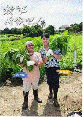 旧物修理铺 综艺海报